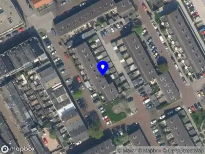 Sea cleaning en onderhoud