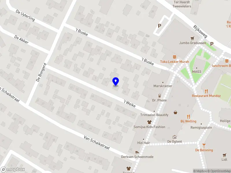 Stichting Fondacija Dzigal