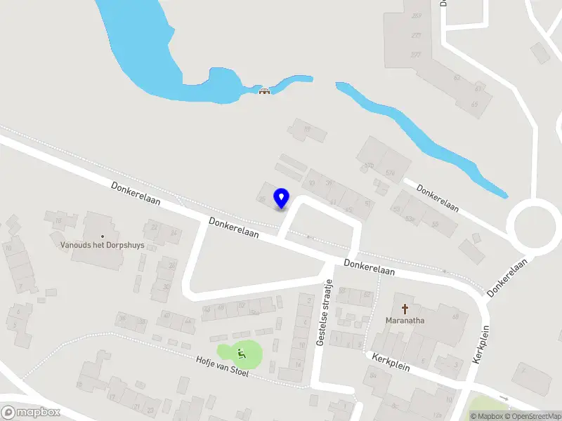 Ziels-Veel Begeleiding