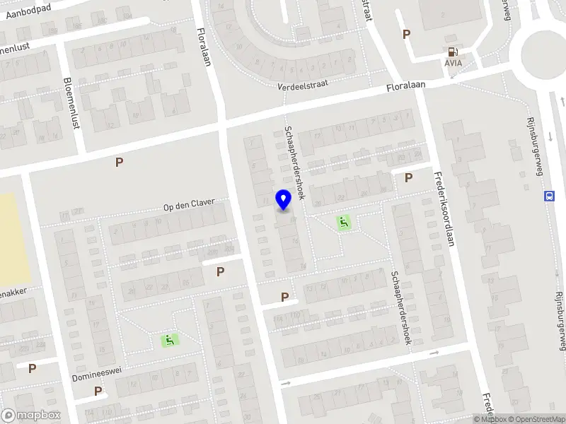 De Vrijwilligerspraktijk