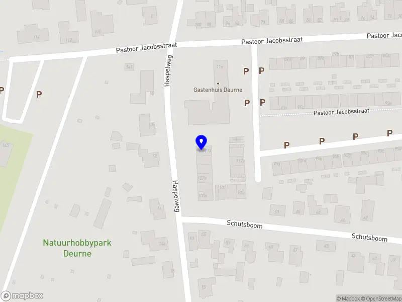 Brassica Beveiliging