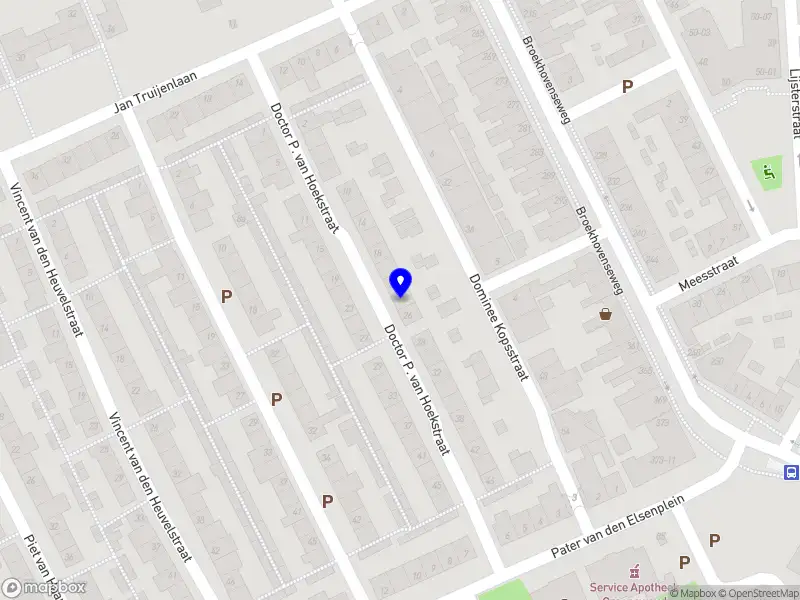 Human Success Service