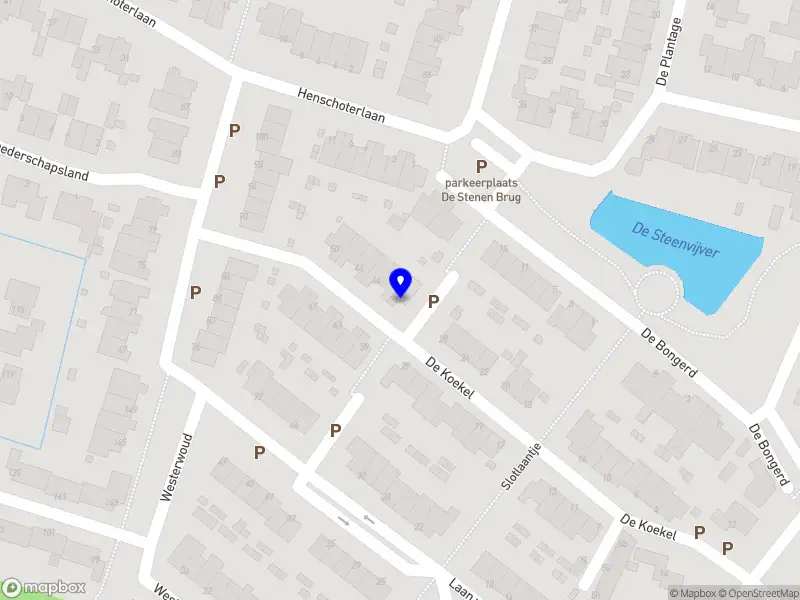 Dolfijn Kindercoaching