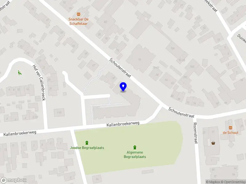 Wedding & Proposal Decor