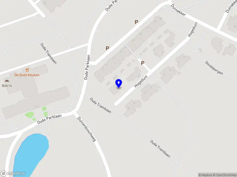 AstyaViewer B.V. Castricum