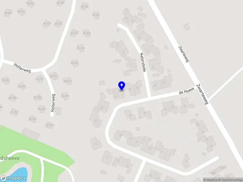 Software Solution Systems