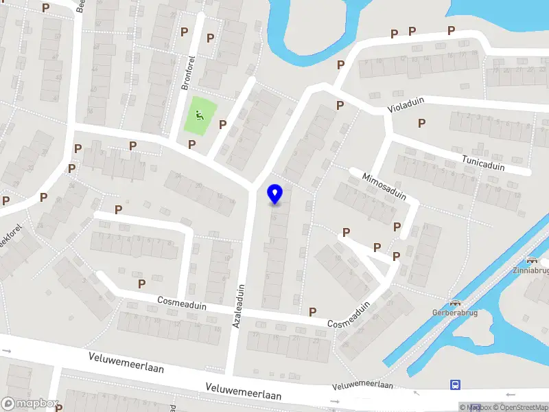 Blue Ocean International