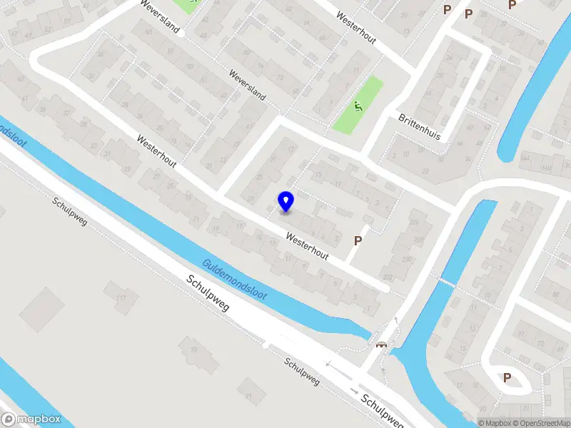 Nieuw bedrijf Lotte Zwaan