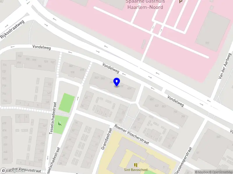 Visa Bridge & Rivas Taal Haarlem