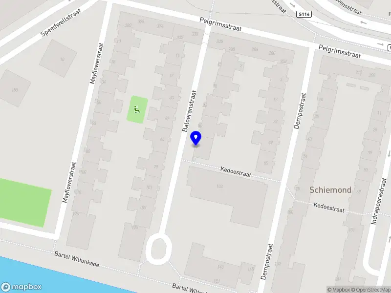 DolphinNL Rotterdam