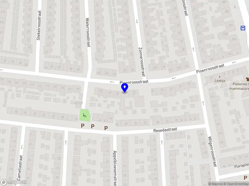 Studio NOVA Interior