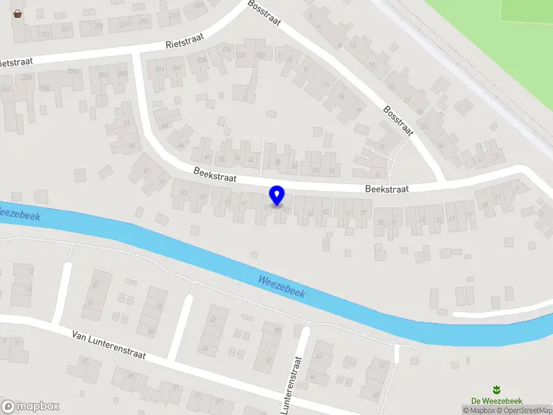 Bloemenkunst Xaviera