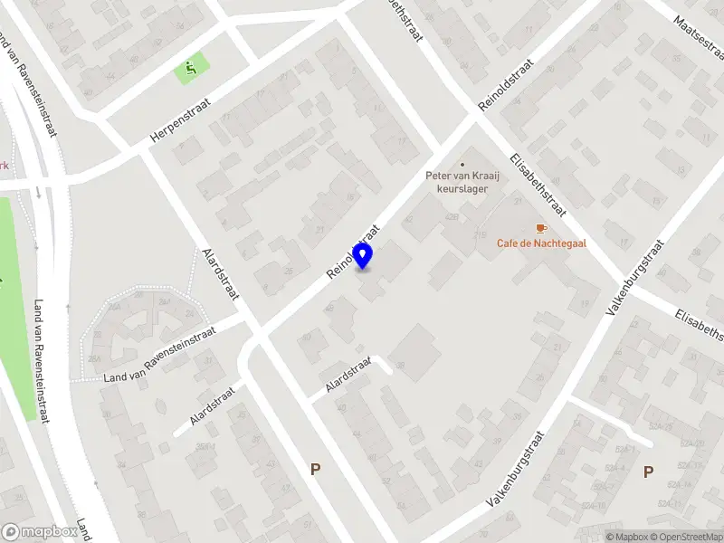 Ton Hoevenaars Consultancy