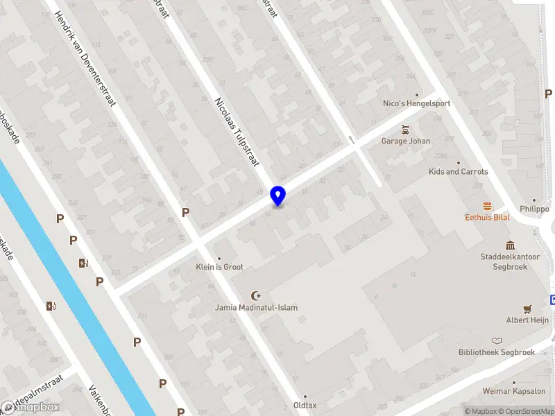 Asha Guitar and Ukulele