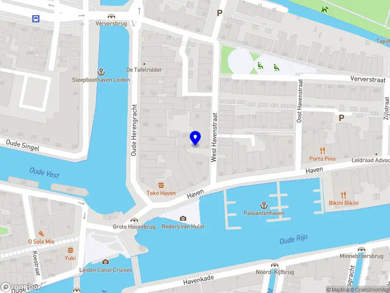 Anna Berezovskaia Consulting Leiden