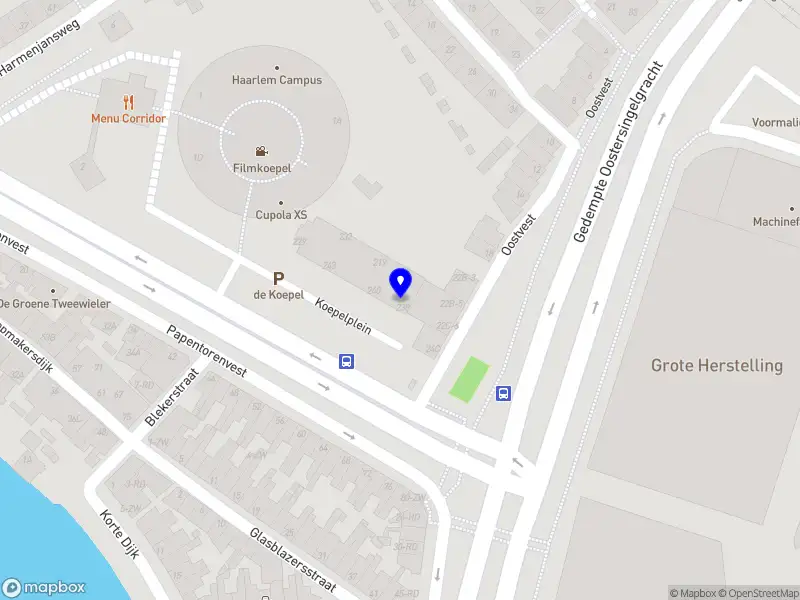 Primevision consulting