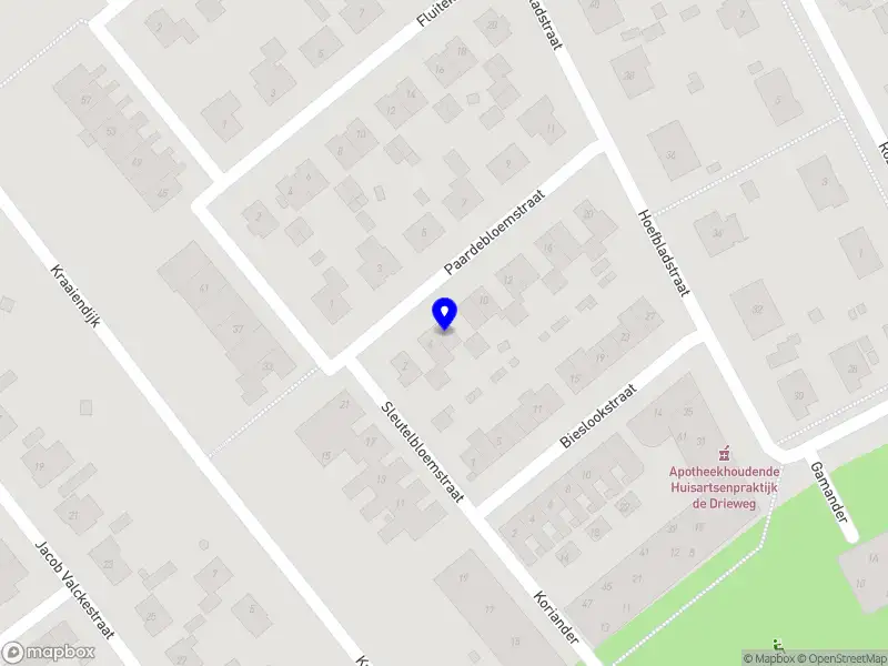 Lisanne Struik Photography