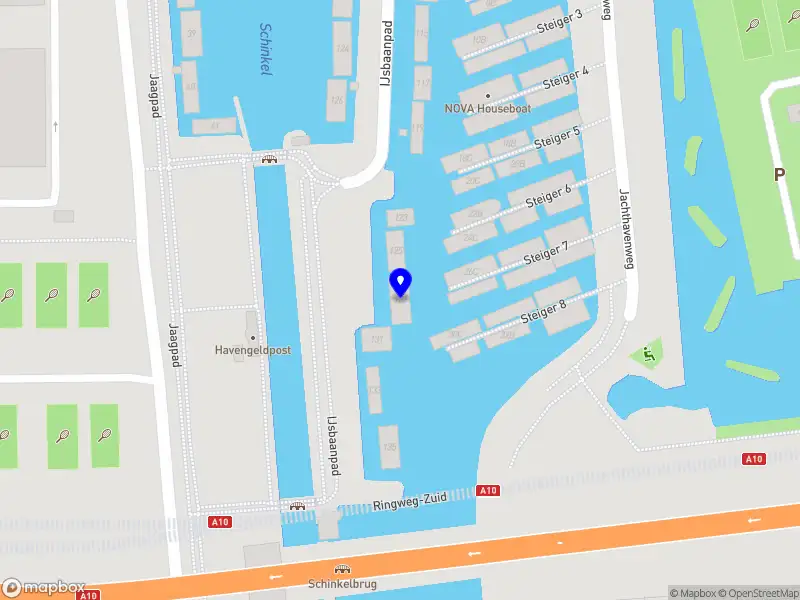 the blue frog Amsterdam