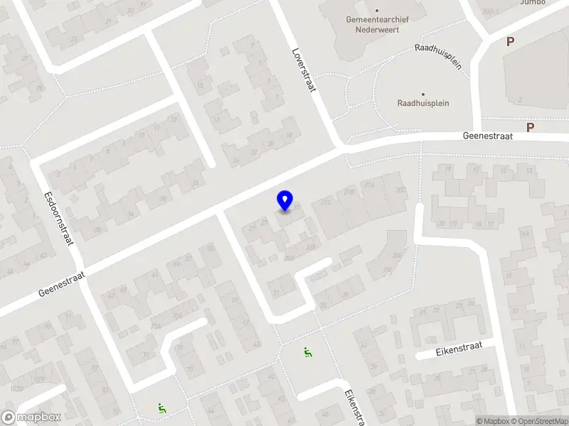 Nieuw bedrijf Wullems Vibe & shine