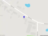 Micky Schelstraete Dressage