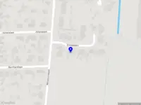 Francien de Jonge Artworks