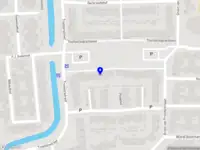 IZ management & organisatie