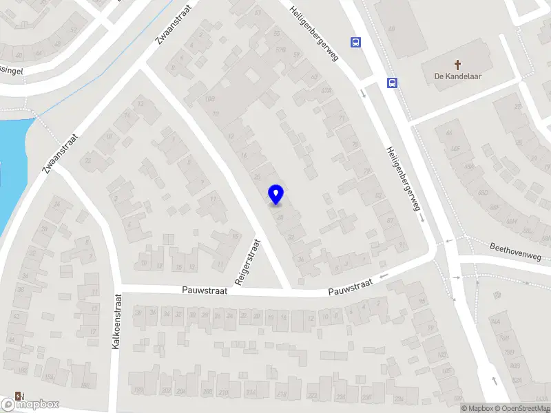 Gedragstherapie voor je hond