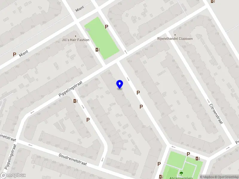 Abrikoos Holding B.V.