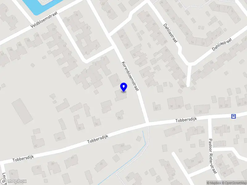 BOL Interim & Verandermanagement