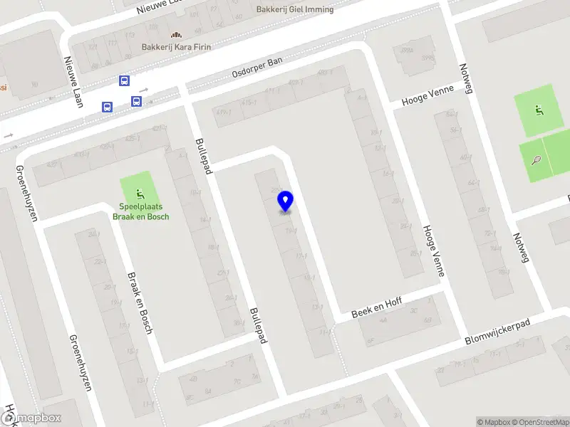 Real Shine Amsterdam