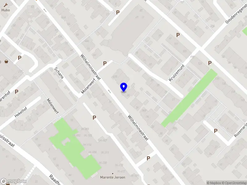 HPB projectbegeleiding