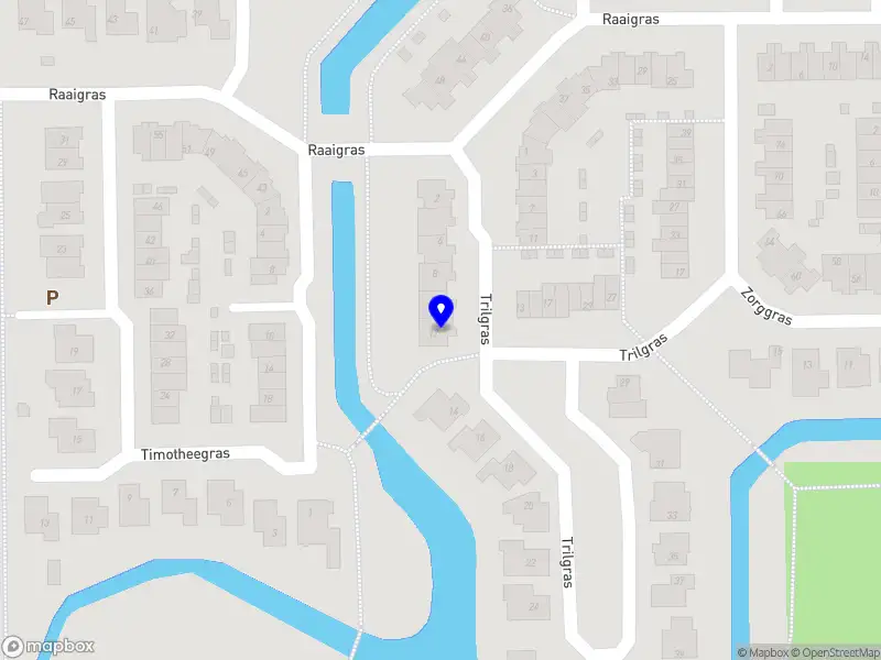 Evy's Dance & Education