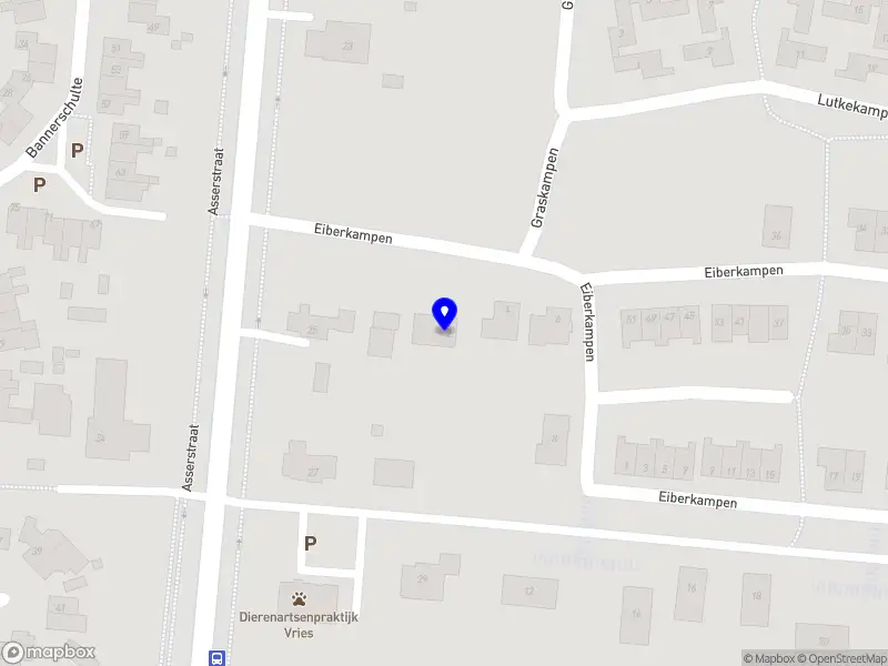 Arie de Jong Stichting