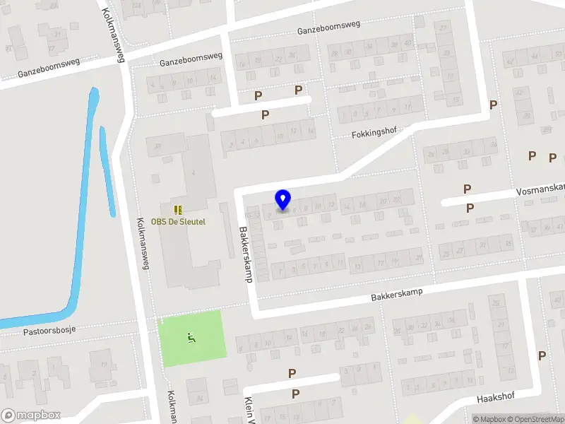 D.Bruggeman glazenwasserij