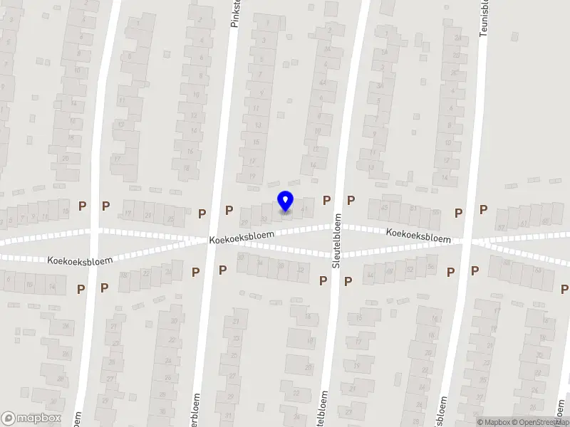 Iris Impact Projecten