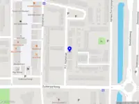 The Golden Dragon Collectibles