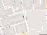 Domestic Asia Holding B.V.