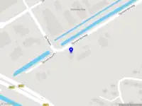 Celine Equine Services