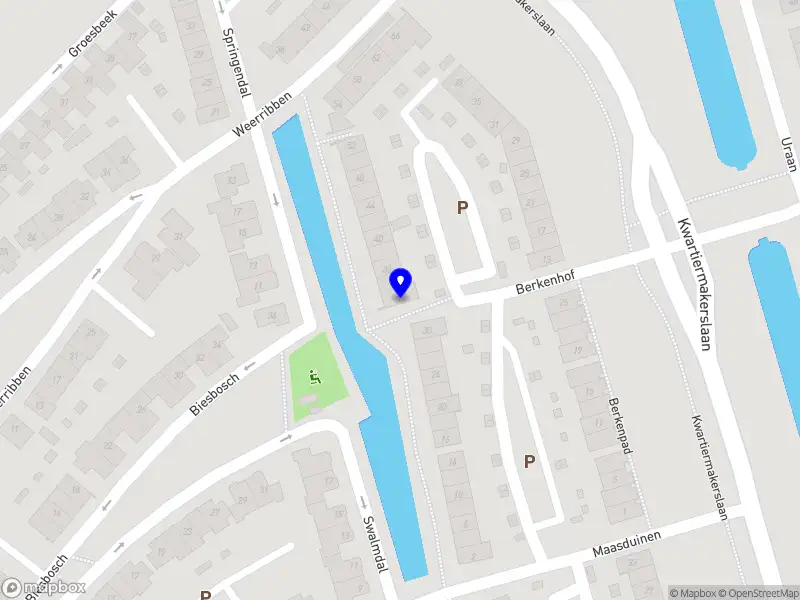 Maryendy vol Passie B.V.