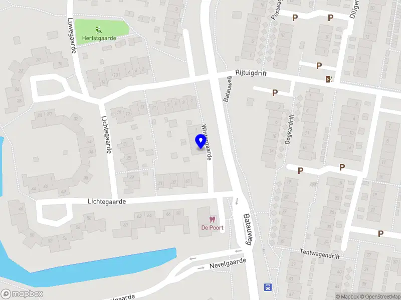 Annemarie Tersteeg Fotografie