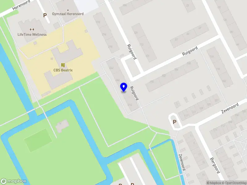 Chronically Online Rotterdam