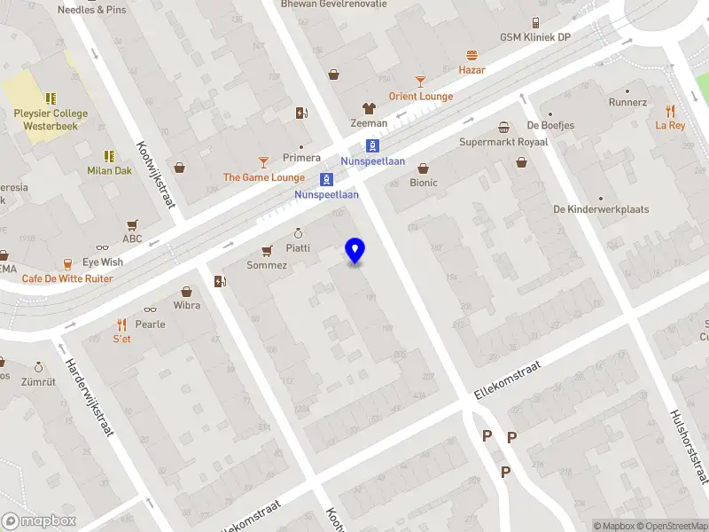 Nieuw bedrijf Georgi 2002