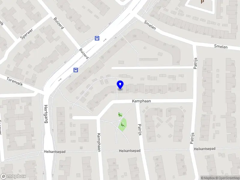 ACT Europe consultancy