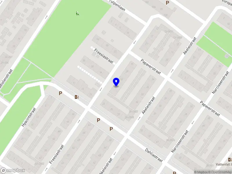 Aynext Service Oosterhout