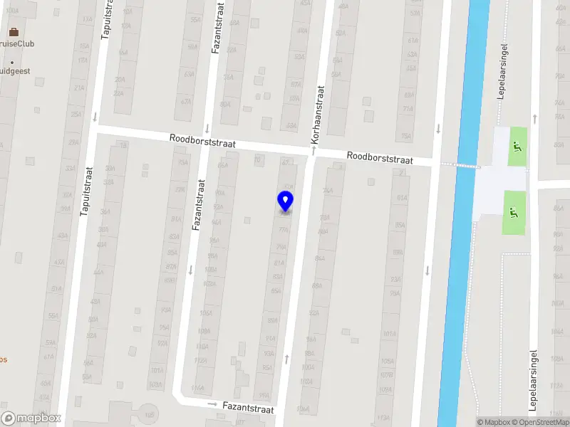 Naveed bus service Rotterdam