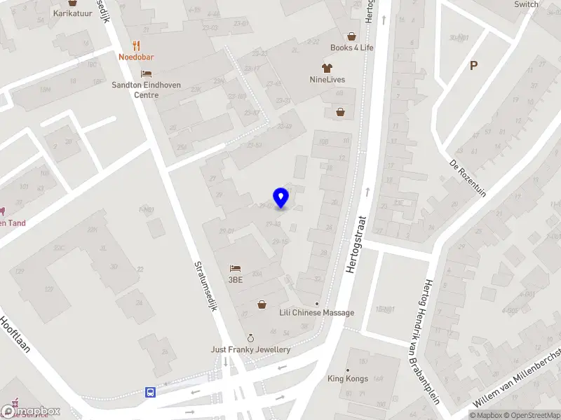 Nieuw bedrijf Mesters Holding B.V.