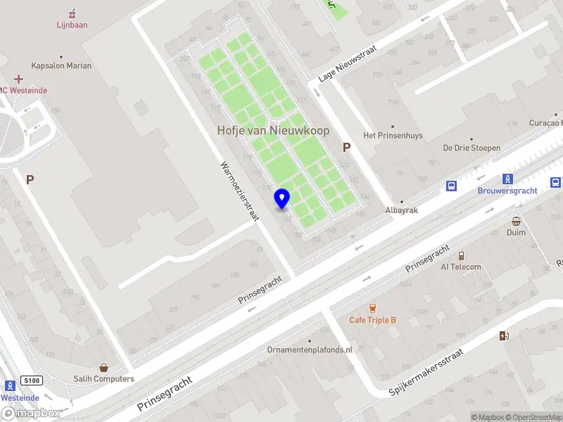 Ditta Koorn 's-Gravenhage