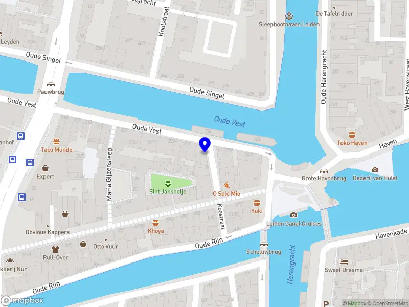 TF Tutoring Leiden