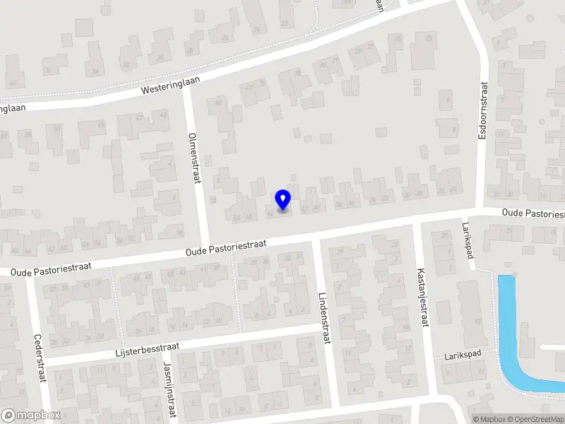 Fuel up voedingscoaching