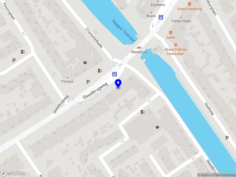 Elines Lens Rijswijk